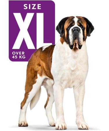 Royal Canin Dog Food Giant Adult 4kg - Buy Online on GoSupps.com