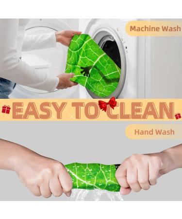 Frog Leaf Beard Bib Apron | Waterproof Hair Catcher for Men | Grooming Cape with 2 Suction Cups | Perfect Gift for Shaving & Trimming - Buy Online on GoSupps.com