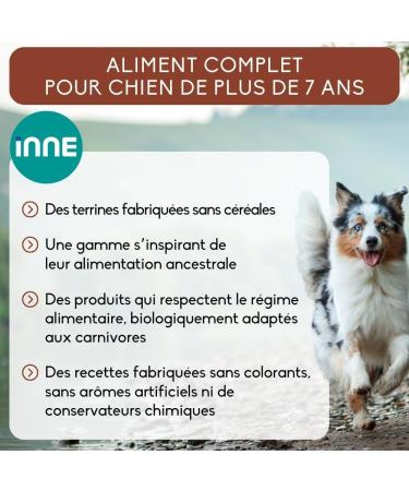 Nutrivet - INNE Dog - TERRINE - Senior Dog - Lamb 150g - Buy Online on GoSupps.com