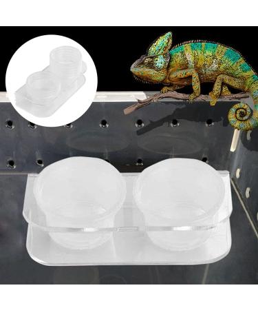 NA Reptile Feeding Ledge with 10 Pcs Water Food Bowl Feeding Dish Gecko Feeder Bowls for Bearded Dragon Turtles Guana Tortoises - Buy Online on GoSupps.com