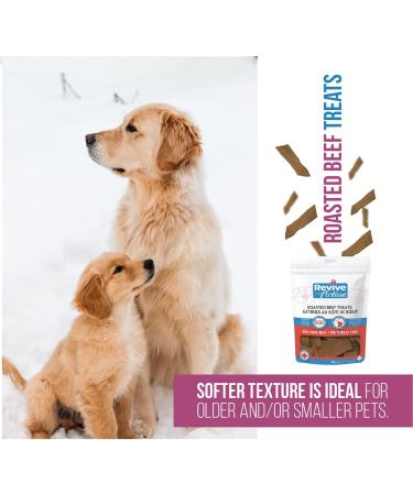 Revive Active Roasted Beef Treats for Dogs 40gr Dog and Puppy Chews - Pure and All Nutritive Low Calorie Training Treats - Large and Small Dogs Flavor Dogs Love. 40 g (Pack of 1) - Buy Online on GoSupps.com