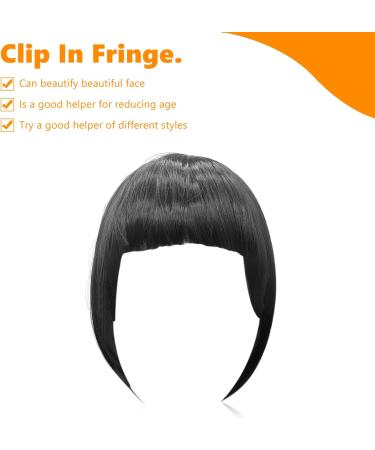 Clip in Fringe Clip in Bangs for Women Hair Extensions with Temples Hairpieces Fashion Thick Full Front Synthetic Clip on Fringe Bangs Clip Hair Pieces for Daily Wear Y7HLHJF black - Buy Online on GoSupps.com
