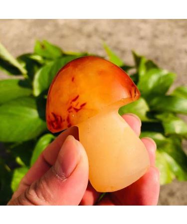 Natural Crystal Rough Crystals Stones 2 INCHES Natural Agate Quartz Carved Carnelian Crystal Mushroom Stone 1PC (Color : Light Grey Size : 10pc) 10pc Light Grey - Buy Online on GoSupps.com