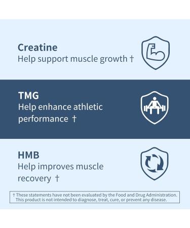 YOUTHVITA Creatine HMB TMG 180 Tablets Micronized Creatine Monohydrate with HMB & TMG Support Muscle Growth Athletic Performance Fast Workout Recovery 60 Servings - Buy Online on GoSupps.com