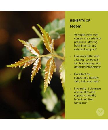 Banyan Botanicals Neem Tablets - Organic Supplement for Skin, Hair, Blood, Liver & More - 90 Tablets, Non-GMO, Vegan - Buy Online on GoSupps.com