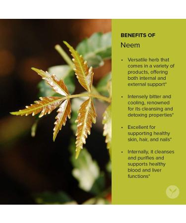 Organic Neem Powder - Ayurvedic Herb for Skin & Blood Health | 1 lb | Non-GMO Vegan - Buy Online on GoSupps.com