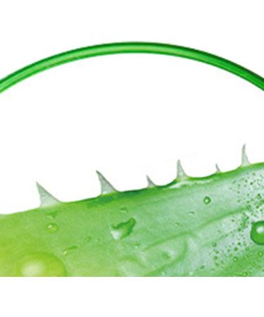 Qukaim Skin Care Aloe Vera Gel Aloe Vera Gel Hydrating Soothing Cream 10.6oz for Home Beauty Salon - Buy Online on GoSupps.com