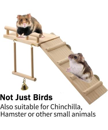 Vogel Parrot Swing & Vibrant Pencil Rods for Hamsters Birds and Exotic Pets - Wooden Climbing Platforms & Toys for Parrots Chinchillas and Budgies - Buy Online on GoSupps.com