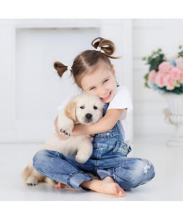 Molain Mini Hair Rubber Bands - Transparent Elastic Ponytail Holders for Toddlers Girls & Women - 1000 Pieces for Braid & Wedding Hairstyles - Buy Online on GoSupps.com