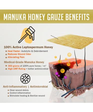 Everlit Care Honey Gauze - Medical Grade Manuka Honey Patches for Cuts Burns & Skin Tears | Sterile Wound Care Dressings (Pack of 10 - Buy Online on GoSupps.com