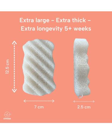 ETHOSA Konjac Natural Body Sponge - Vegan Biodegradable Exfoliating Shower Sponge - Gentle Baby Bath Accessory - Eco Friendly Gift - 1 Count - Buy Online on GoSupps.com