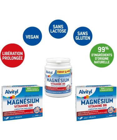 Alvityl Magnesium 300mg + Vitamin B6 - Prolonged Release - Slow and Progressive Diffusion - Magnesium of Marine Origin - Stress Fatigue Irritability - Made in France - Tablets 45 days - Buy Online on GoSupps.com