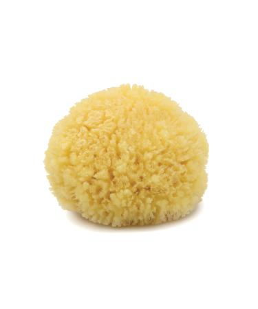 Neptune Natural Caribbean Sea Sponge - All Natural Renewable Sea Sponge (5 inch)