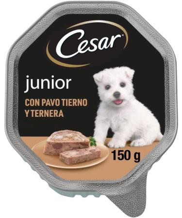 Cesar Junior Puppy Dog Food with Tender Turkey and Veal 150 g - 14 tubs - Buy Online on GoSupps.com