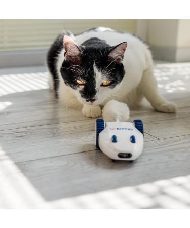 Kittio Robo Mouse: Interactive Cat Toy with Smart Steering Sensors - USB Charging - Buy Online on GoSupps.com
