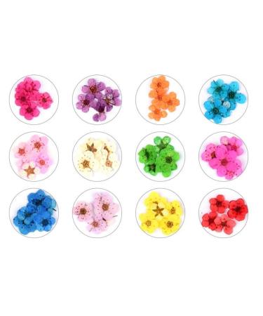 Dried Flowers for Nail Art - Mini Real Natural Five Petal Flower Sticker Decals - Buy Online on GoSupps.com