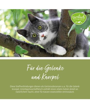 Sanct Bernhard Green-Lipped Mussel Cat Capsules - 90 Capsules for Joint Health & Mobility | International Shipping - Buy Online on GoSupps.com