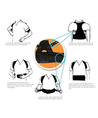 Posture Corrector - Neoprene Adult Magnetic Back Shoulder Belt for Kyphosis & Lumbar Support | Strength Training Aid - Buy Online on GoSupps.com