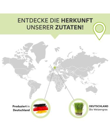 Organic Wheatgrass Powder 500g | 100% Pure & Additive-Free | German Cultivation (DE- KO-007) - Buy Now! - Buy Online on GoSupps.com