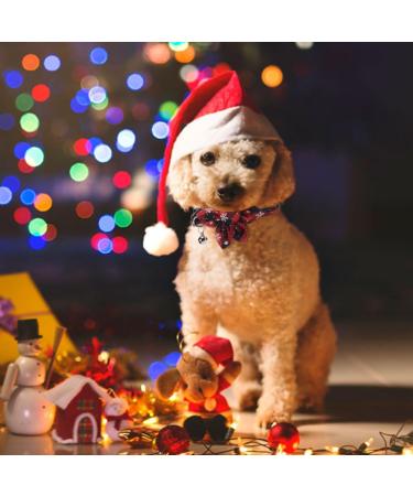 Webeedy Christmas Cat Neckbands - 4 Adjustable Breakaway Collars with Flower & Bell 18-28 cm Holiday Gifts for Cats - Buy Online on GoSupps.com