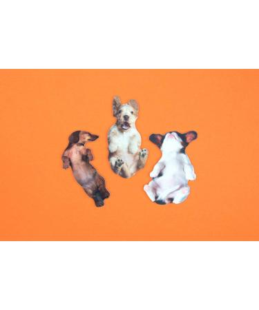 Suck UK Dog Nail File | Dog Shaped Buffering Gift | Nail Filer | Emery Board Accessories | 3 Different Dog Breed Designs | Nail File Buffer | Nail Salon Accessories - Buy Online on GoSupps.com