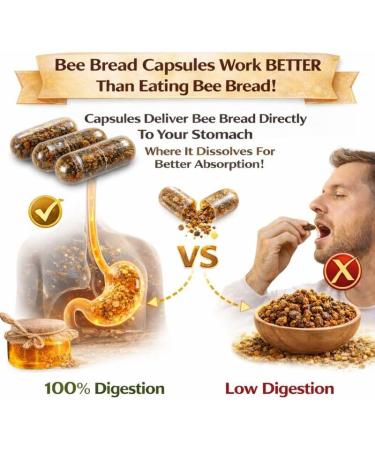 Bee Bread 60 Veggie Capsules - Raw Organic Fermented Bee Pollen (Perga) Natural Multivitamin Superfood for Energy & Vitality Immune Support Supplement Gluten-Free No Synthetic Additives - Buy Online on GoSupps.com
