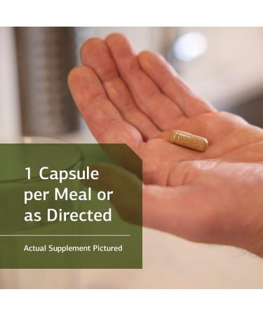 Standard Process Livaplex - Liver Health Support Supplement - 90 Capsules - Buy Online on GoSupps.com