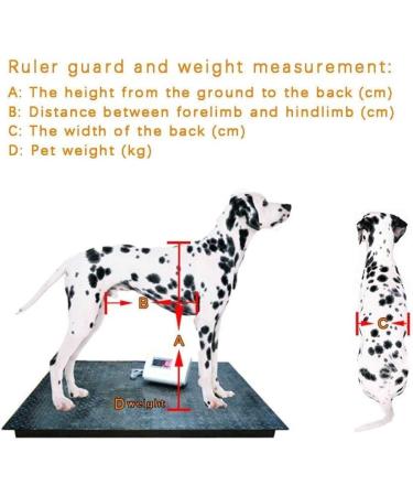Dog Wheelchair for Back Legs Dog Cart Pet Wheelchair for Handicapped Hind Legs Small Dog Cat/Doggie/Puppy Walk Stainless Steel (Color : Blue Size : 01) Blue 1 - Buy Online on GoSupps.com