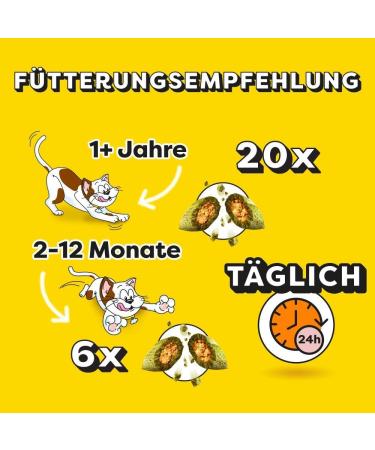 Dreamies Cat Snacks with Catnip - Creamy & Crispy Treats 6x60g | International Shipping Available - Buy Online on GoSupps.com