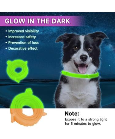 Shop Woyamay Calm Collar for Dogs | Adjustable Luminous Calming Collar with Pheromones | Natural Stress Relief for All Sizes (Orange 1 Piece) - Buy Online on GoSupps.com
