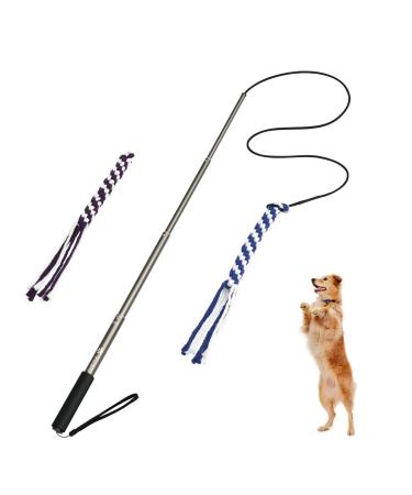 PopetPop Interactive dog toys dogs outside Angel Kieletzeiten with 2 rope dog fishing pole pet teaser for training exercise (size L)
