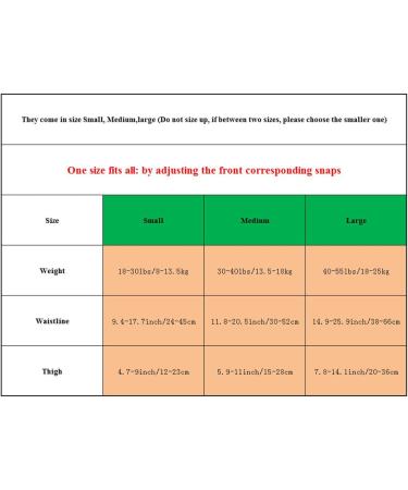Teamoy 2-Pack Adjustable Baby Swimming Trunks for Lessons or Holidays - Buy Online on GoSupps.com