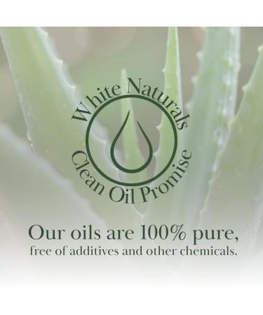 Organic Aloe Vera Oil Therapeutic Premium Oil Moisturizing Cold Pressed 100% Pure Natural Aloe Barbadensis Care for Skin Body Hair Growth Face Moisturizer Baby Oils Used for Massage Bath 4oz Aloe Vera 3.99 Fl Oz (Pa  - Buy Online on GoSupps.com