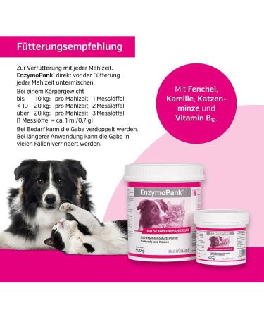Alfavet Enzymeopank for Dog & Cat - Digestive Support Powder for Exocrine Pancreatic Insufficiency 100g | Dietary Supplement - Buy Online on GoSupps.com