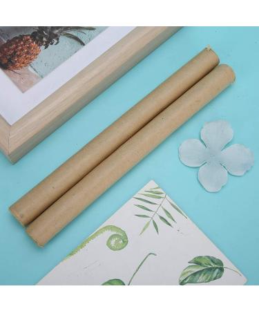 Buy Moxa Roll - 10pcs Pure Moxa Stick for Acupuncture & Muscle Relaxation | International Shipping Available - Buy Online on GoSupps.com