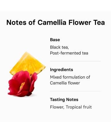 Buy Osulloc Camellia Flower Tea Tropical Fruity Flavors 20 Tea Bags (1.06 oz) | Jeju Premium Tea - Buy Online on GoSupps.com