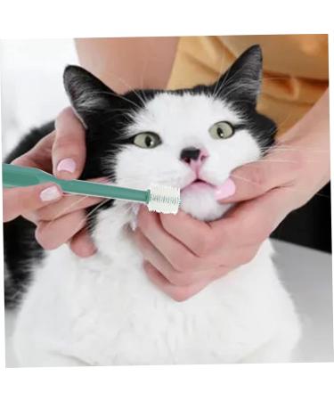 Beavorty 6 pcs Puppy -degree Portable Teeth Handheld Cat Clean Cleaning Plastic Pet Tooth Pets Dog Brush 1 count (Pack of 1) Assorted Colorx3pcs - Buy Online on GoSupps.com