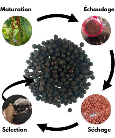 Les Voies Epicees-Dark Red Kampot Pepper - 100g- Extreme Maturation - Intense Flavors - Rare Pepper - Whole Peppercorns - Buy Online on GoSupps.com