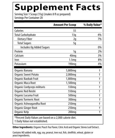 MRM Organic Post Workout Plant Based Recovery 10.6oz - Ginger Formula (Pack of 1) - Buy Online on GoSupps.com