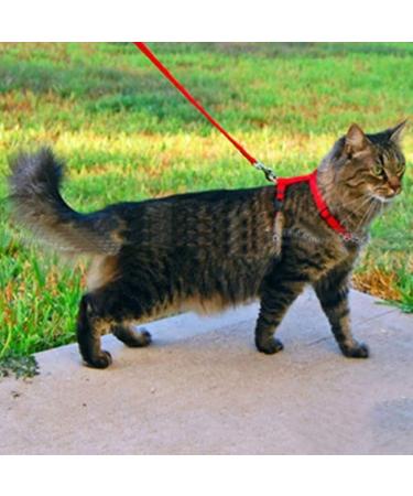 Sytaun Adjustable Orange Nylon Pet Leash - Durable Comfortable & Stylish | International Shipping Available - Buy Online on GoSupps.com