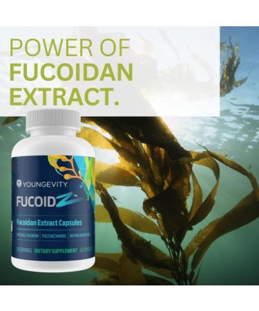 Youngevity FucoidZ - Pure Organic Maritech Fucoidan Extract & Cofactors (Vitamin C Zinc Elderberry + Botanical Blend) - Immune Support - Super Antioxidant - 60 Capsules - Buy Online on GoSupps.com