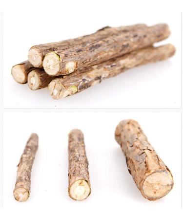 EnjoyMSS Catnip Silvervine Sticks Cat Treat Matatabi Stick Cat Teeth Cleaning stick Rod with Pure Natural Catnip small animal Molar Toothpaste Stick Pet Cat Dental Treat Chew Toy Diameter 0.6-1.3cm 5pcs - Buy Online on GoSupps.com
