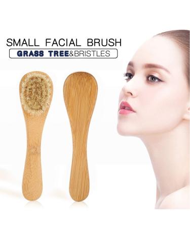 Natural Exfoliating Body Brush with Natural Bristles - Wet & Dry Brushing for Radiant Skin - Buy Online on GoSupps.com