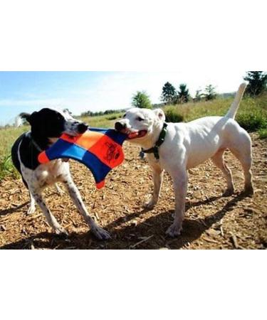 Buy Chuckit! Flying Squirrel M Double Pack - 2x1 Piece | Durable & Lightweight Dog Toys | 35 cm | Water-Resistant | International Shipping Available - Buy Online on GoSupps.com