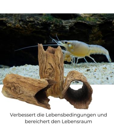 XXL Tree Trunk Cave Tube - Premium Aquarium Decoration for Spawning and Hiding | Ideal for Fish Crabs & Catfish - Buy Online on GoSupps.com