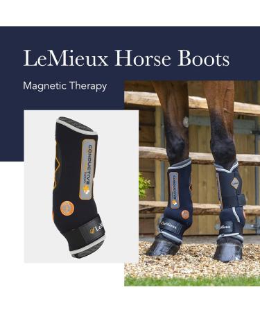 LeMieux Conductive Magno Horse Boots - M Black - Magnetic Therapy Protective Gear for Training - Equine Boots & Accessories - Buy Online on GoSupps.com
