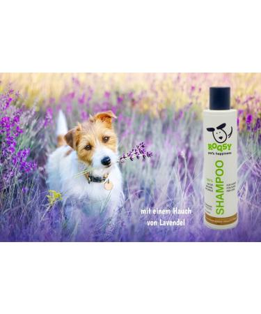 Roqsy Natur-Hundehampoo 200ml | Vegan & Organic Dog Shampoo for All Breeds | Ideal for Puppies Sensitive Skin & Allergy Relief - Buy Online on GoSupps.com