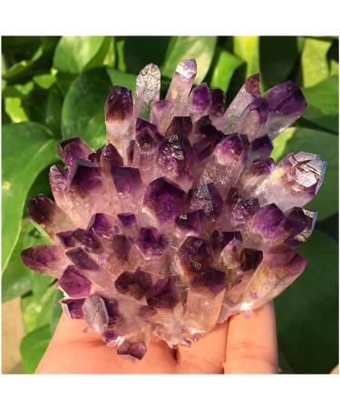 Collection Natural Crystals Quartz Amethust Cluster Freeform Energy Reiki Stones Room Home Office Aquarium Decoration Accessories Gemstone (Size : 400-450g) - Buy Online on GoSupps.com