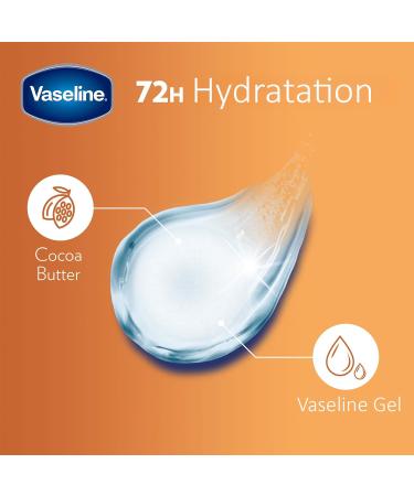 Vaseline Lip Therapy 2 Pack Nourishing Lip Balm with Coconut Butter for Optimal Moisture - Buy Online on GoSupps.com