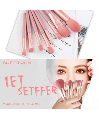 8-Piece Professional Makeup Brush Set with PU Leather Bag - Foundation Contouring & Blending Brushes - Soft Cosmetic Brushes for Flawless Beauty - Buy Online on GoSupps.com